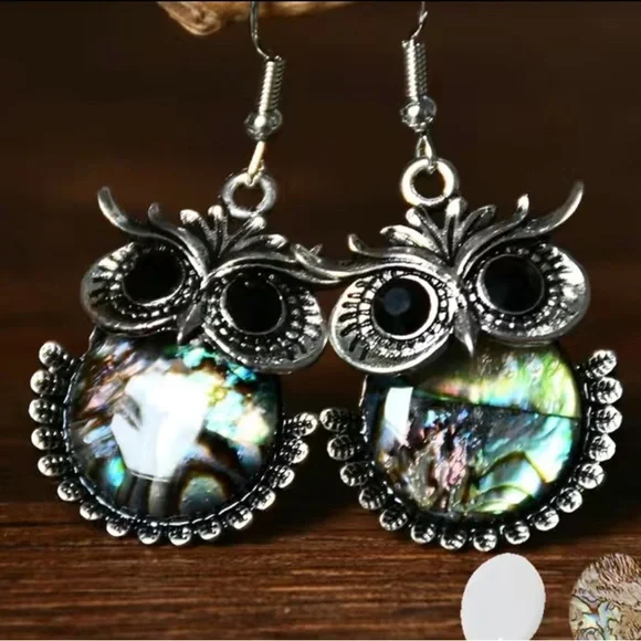 $2/$25 or 3/$35 NWOT Abalone shell/silver tone owl shimmery earrings - Picture 2 of 4